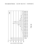 Single-Stranded Nucleic Acid Molecule for Controlling Gene Expression diagram and image