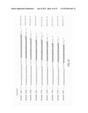 Single-Stranded Nucleic Acid Molecule for Controlling Gene Expression diagram and image