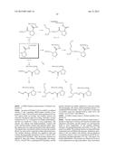 Single-Stranded Nucleic Acid Molecule for Controlling Gene Expression diagram and image