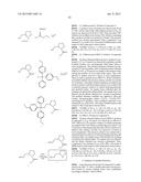 Single-Stranded Nucleic Acid Molecule for Controlling Gene Expression diagram and image