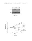 INHIBITION OF THE GLYCINE CLEAVAGE SYSTEM FOR TREATMENT OF CANCER diagram and image