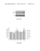 INHIBITION OF THE GLYCINE CLEAVAGE SYSTEM FOR TREATMENT OF CANCER diagram and image