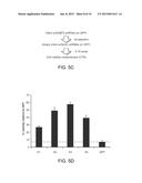 INHIBITION OF THE GLYCINE CLEAVAGE SYSTEM FOR TREATMENT OF CANCER diagram and image