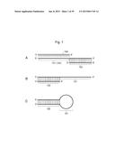 NUCLEIC ACID MOLECULE FOR INHIBITING ACTIVITY OF RNAI MOLECULE diagram and image