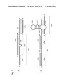 NUCLEIC ACID MOLECULE FOR INHIBITING ACTIVITY OF RNAI MOLECULE diagram and image