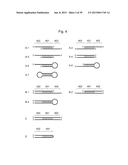 NUCLEIC ACID MOLECULE FOR INHIBITING ACTIVITY OF RNAI MOLECULE diagram and image