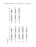 NUCLEIC ACID MOLECULE FOR INHIBITING ACTIVITY OF RNAI MOLECULE diagram and image