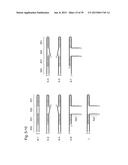 NUCLEIC ACID MOLECULE FOR INHIBITING ACTIVITY OF RNAI MOLECULE diagram and image