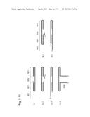 NUCLEIC ACID MOLECULE FOR INHIBITING ACTIVITY OF RNAI MOLECULE diagram and image