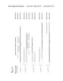 NUCLEIC ACID MOLECULE FOR INHIBITING ACTIVITY OF RNAI MOLECULE diagram and image