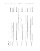 NUCLEIC ACID MOLECULE FOR INHIBITING ACTIVITY OF RNAI MOLECULE diagram and image