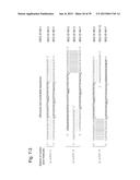 NUCLEIC ACID MOLECULE FOR INHIBITING ACTIVITY OF RNAI MOLECULE diagram and image