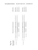 NUCLEIC ACID MOLECULE FOR INHIBITING ACTIVITY OF RNAI MOLECULE diagram and image