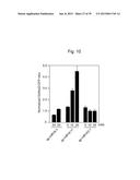 NUCLEIC ACID MOLECULE FOR INHIBITING ACTIVITY OF RNAI MOLECULE diagram and image