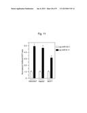 NUCLEIC ACID MOLECULE FOR INHIBITING ACTIVITY OF RNAI MOLECULE diagram and image