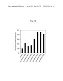 NUCLEIC ACID MOLECULE FOR INHIBITING ACTIVITY OF RNAI MOLECULE diagram and image