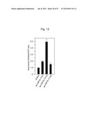 NUCLEIC ACID MOLECULE FOR INHIBITING ACTIVITY OF RNAI MOLECULE diagram and image