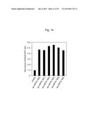 NUCLEIC ACID MOLECULE FOR INHIBITING ACTIVITY OF RNAI MOLECULE diagram and image