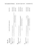 NUCLEIC ACID MOLECULE FOR INHIBITING ACTIVITY OF RNAI MOLECULE diagram and image