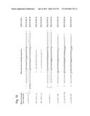 NUCLEIC ACID MOLECULE FOR INHIBITING ACTIVITY OF RNAI MOLECULE diagram and image