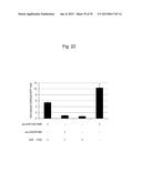 NUCLEIC ACID MOLECULE FOR INHIBITING ACTIVITY OF RNAI MOLECULE diagram and image