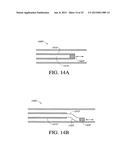 HEPATIC NEUROMODULATION USING MICROWAVE ENERGY diagram and image