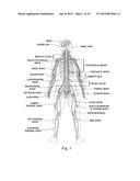 Neurostimulator Configured to Sense Evoked Potentials in Peripheral Nerves diagram and image