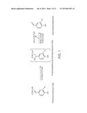 LIGNIFICATION REDUCTION IN PLANTS diagram and image