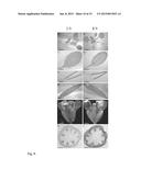 LIGNIFICATION REDUCTION IN PLANTS diagram and image