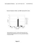 REDUCING LEVELS OF NICOTINIC ALKALOIDS IN PLANTS diagram and image