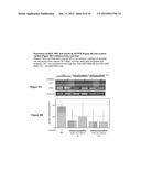 REDUCING LEVELS OF NICOTINIC ALKALOIDS IN PLANTS diagram and image