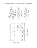 HEAT EXCHANGER diagram and image