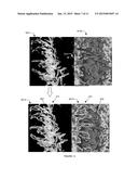 METHOD FOR AUTOMATIC PHENOTYPE MEASUREMENT AND  SELECTION diagram and image