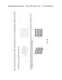 NANOPHONONIC METAMATERIALS diagram and image