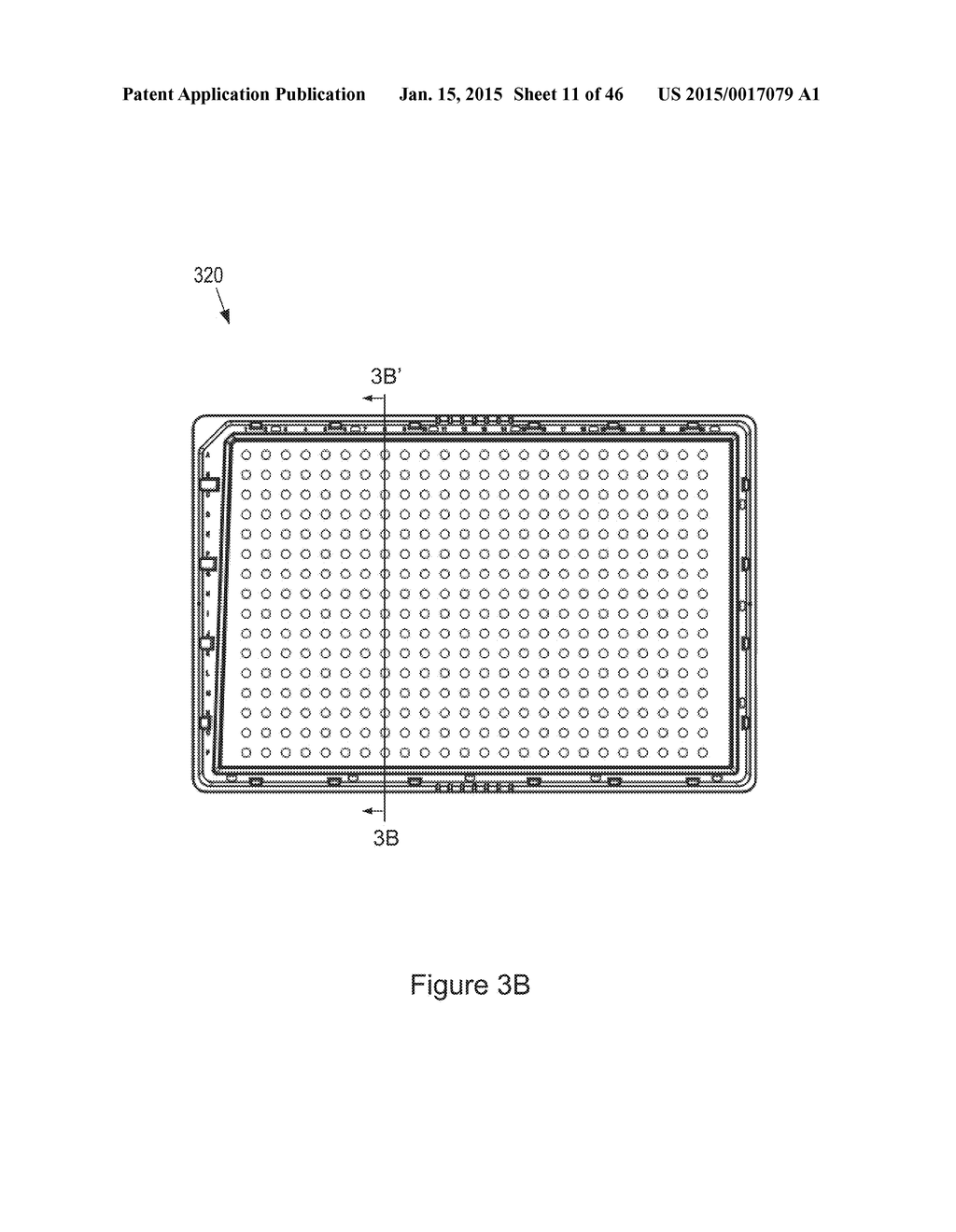 Array Plates and Methods for Making and Using Same - diagram, schematic, and image 12