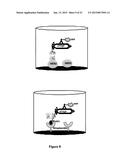 ZIRCONIUM-RADIOLABELED, CYSTEINE ENGINEERED ANTIBODY CONJUGATES diagram and image