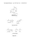 ZIRCONIUM-RADIOLABELED, CYSTEINE ENGINEERED ANTIBODY CONJUGATES diagram and image