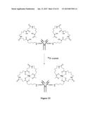 ZIRCONIUM-RADIOLABELED, CYSTEINE ENGINEERED ANTIBODY CONJUGATES diagram and image