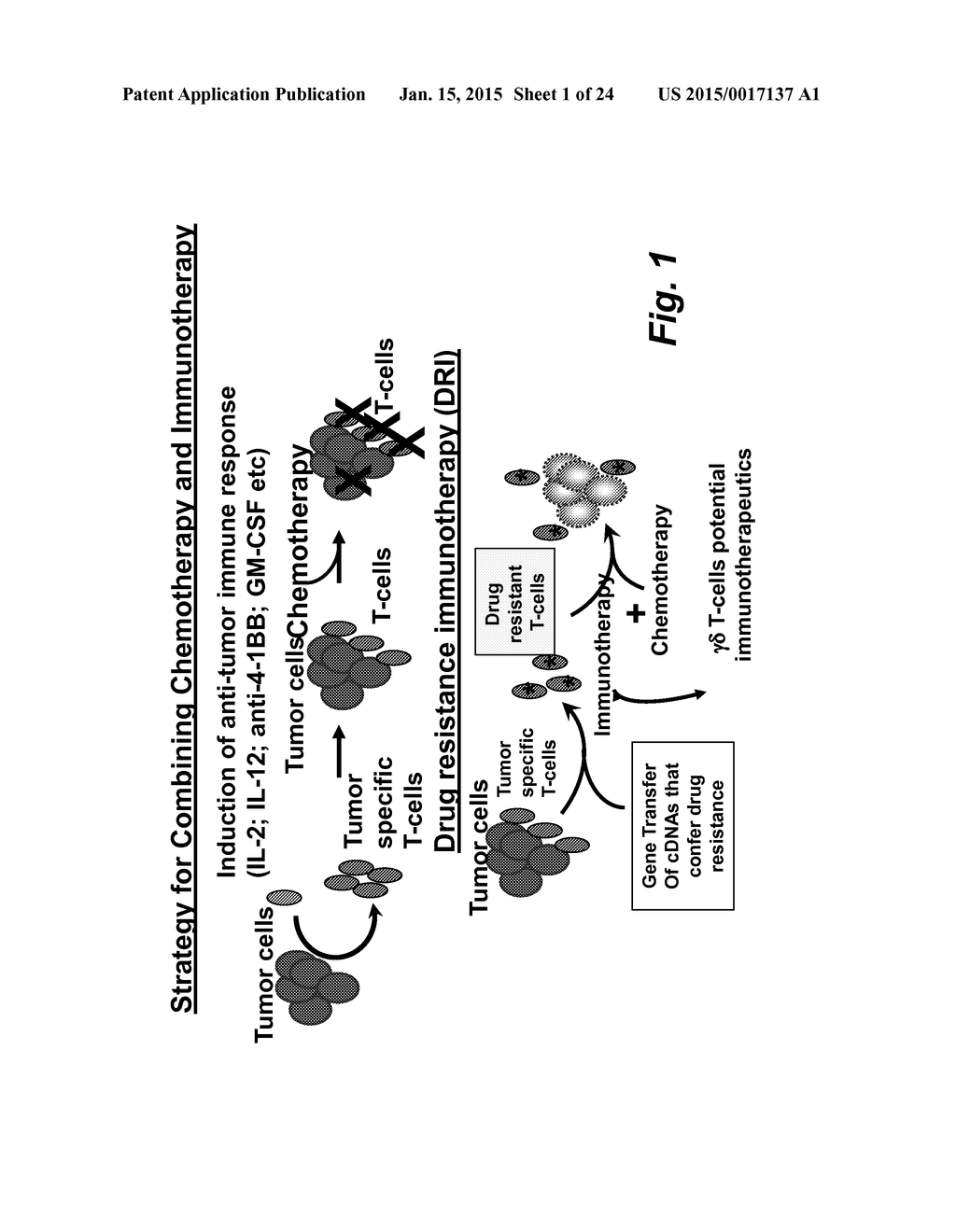 DRUG RESISTANT IMMUNOTHERAPY FOR TREATMENT OF A CANCER - diagram, schematic, and image 02