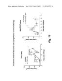DRUG RESISTANT IMMUNOTHERAPY FOR TREATMENT OF A CANCER diagram and image