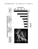 DRUG RESISTANT IMMUNOTHERAPY FOR TREATMENT OF A CANCER diagram and image