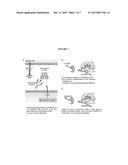 COMPOSITIONS AND METHODS FOR THE ALTERATION OF XLHED PHENOTYPES diagram and image