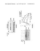 MONOCLONAL ANTIBODIES THAT INHIBIT THE Wnt SIGNALING PATHWAY AND METHODS     OF PRODUCTION AND USE THEREOF diagram and image