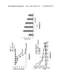 MONOCLONAL ANTIBODIES THAT INHIBIT THE Wnt SIGNALING PATHWAY AND METHODS     OF PRODUCTION AND USE THEREOF diagram and image