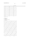 MONOCLONAL ANTIBODIES THAT INHIBIT THE Wnt SIGNALING PATHWAY AND METHODS     OF PRODUCTION AND USE THEREOF diagram and image