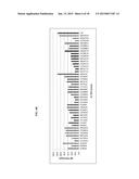 ANTIBODIES COMPRISING MULTIPLE SITE-SPECIFIC NON-NATURAL AMINO ACID     RESIDUES, METHODS OF THEIR PREPARATION AND METHODS OF THEIR USE diagram and image