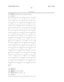 ANTIBODIES COMPRISING MULTIPLE SITE-SPECIFIC NON-NATURAL AMINO ACID     RESIDUES, METHODS OF THEIR PREPARATION AND METHODS OF THEIR USE diagram and image