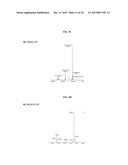 ANTIBODIES COMPRISING MULTIPLE SITE-SPECIFIC NON-NATURAL AMINO ACID     RESIDUES, METHODS OF THEIR PREPARATION AND METHODS OF THEIR USE diagram and image