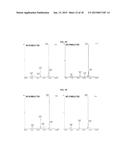 ANTIBODIES COMPRISING MULTIPLE SITE-SPECIFIC NON-NATURAL AMINO ACID     RESIDUES, METHODS OF THEIR PREPARATION AND METHODS OF THEIR USE diagram and image