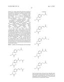 ANTIBODIES COMPRISING MULTIPLE SITE-SPECIFIC NON-NATURAL AMINO ACID     RESIDUES, METHODS OF THEIR PREPARATION AND METHODS OF THEIR USE diagram and image